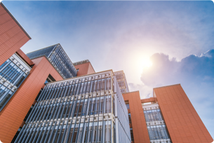 W020241108561407994289