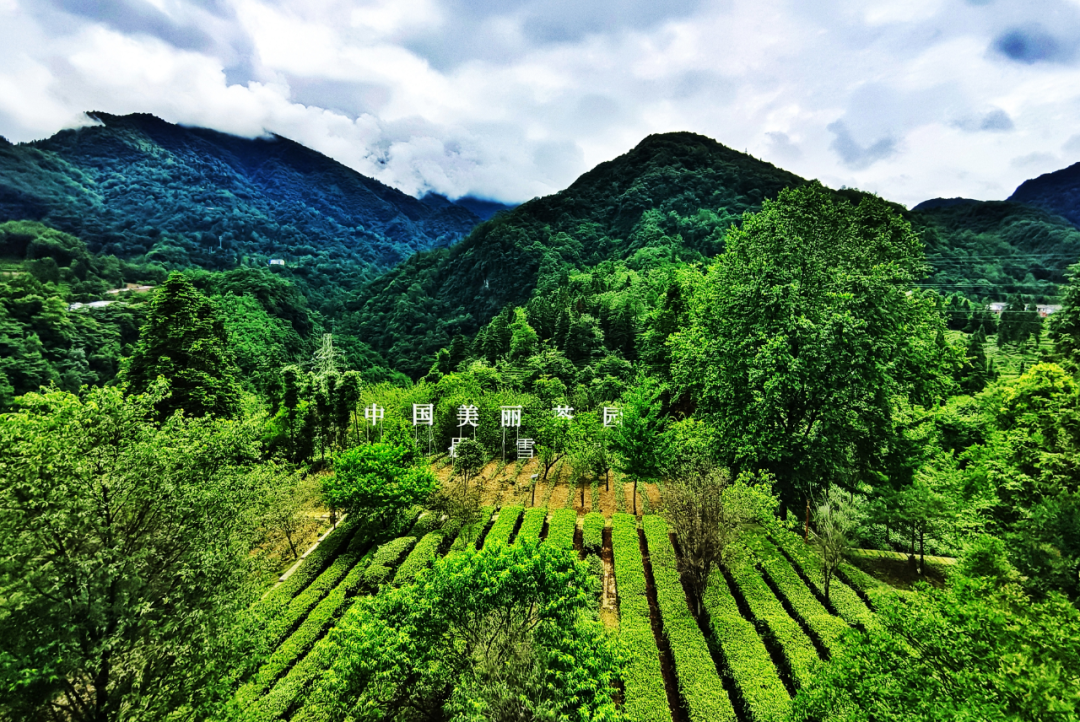 k8.com(中国区)官方网站